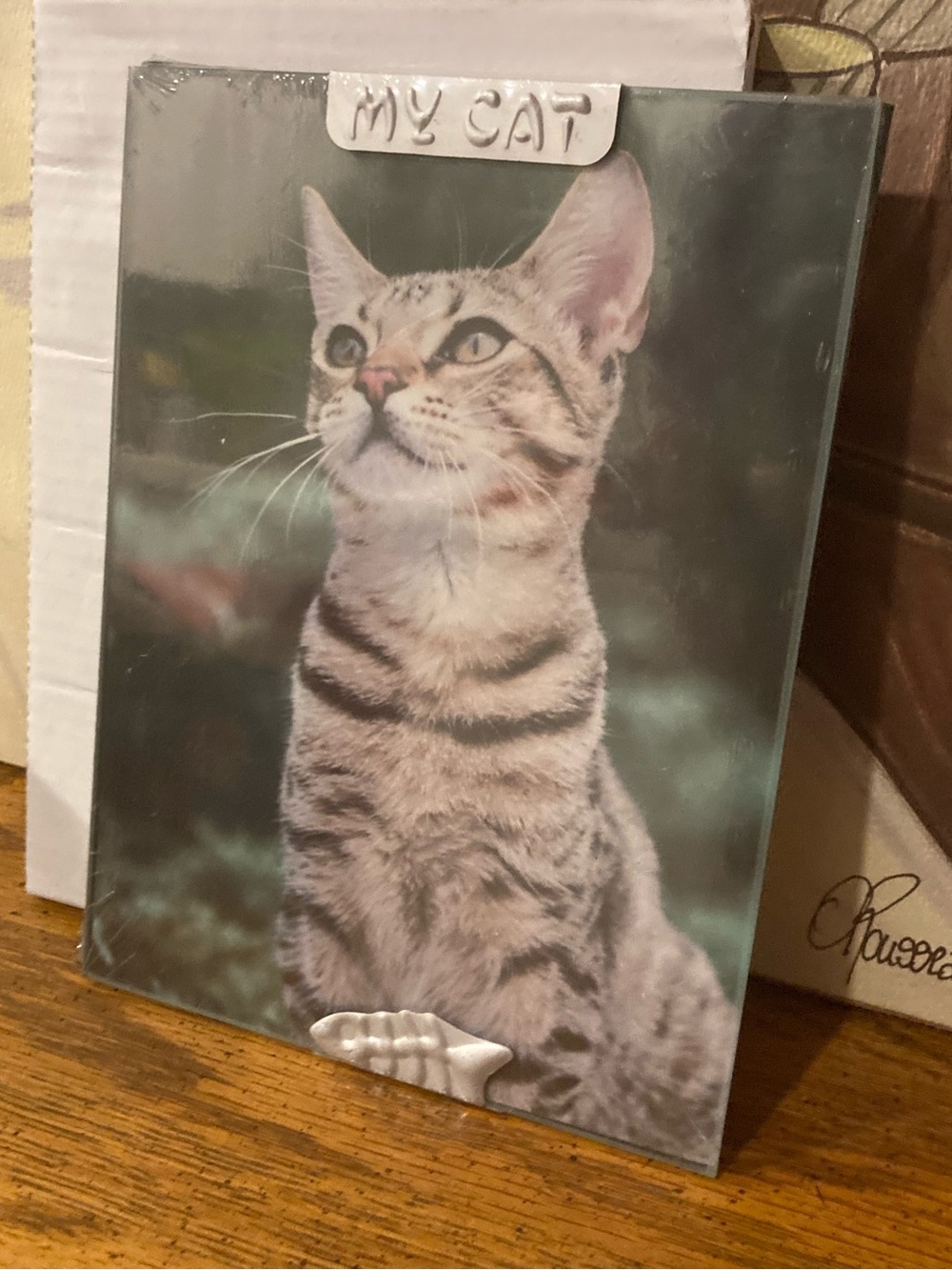 Picture Frame “My Cat”  5” x 7” Desktop